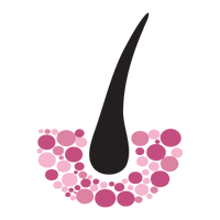 Hair Health