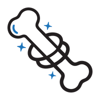 Supports Bone Health