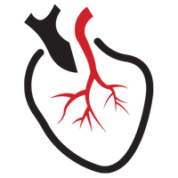 Cardiovascular Health